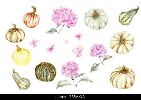 Herbstset mit pinkfarbenen Hortensien und Kürbissen. Für Karten, Hintergründe. Aquarell-Darstellung für Sammelalben. Perfekt für eine Hochzeitseinladung. Stockfoto