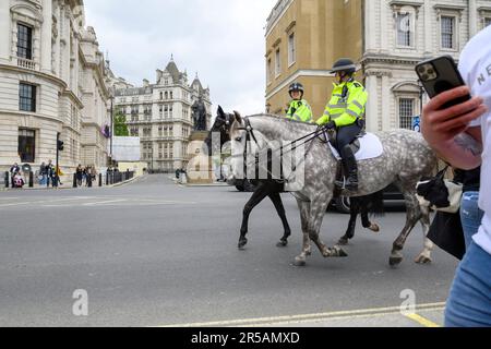 London, England, Vereinigtes Königreich. Berittene Polizei in Whitehall Stockfoto