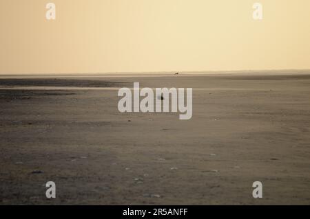 Endloser Strand auf der Insel baltrum Stockfoto