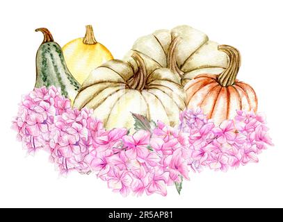 Herbstzusammensetzung mit rosa Hortensien und Kürbissen. Für Karten, Hintergründe. Aquarell-Darstellung für Sammelalben. Perfekt für eine Hochzeitseinladung. Stockfoto