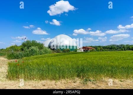 Biogasanlage in Deutschland mit Getreidefelder Stockfoto