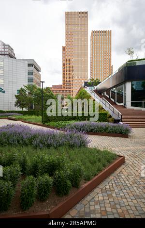 Amsterdam, Niederlande - 25. Mai 2022: Symphoniegebäude im Geschäftsviertel Zuidas. Vollbildansicht. Stockfoto