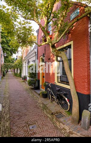 Eine friedliche, von Bäumen gesäumte gepflasterte Gasse mit Fahrrad vor traditionellen Häusern. Frühling in Haarlem, Niederlande. Stockfoto