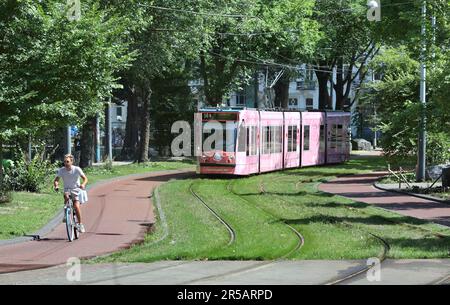 Eine Straßenbahn schlängelt sich durch Plantage Middenlaan, einen grünen Verkehrskorridor (Straßenbahnlinien, Radwege und Fußwege) im Wertheimpark, Amsterdam. Stockfoto