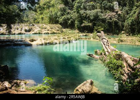 Wunderschöne Kaskaden und Pools in Semuc Champey, Rio Cabohon, Lanquin, Alta Verapaz, Guatemala Stockfoto