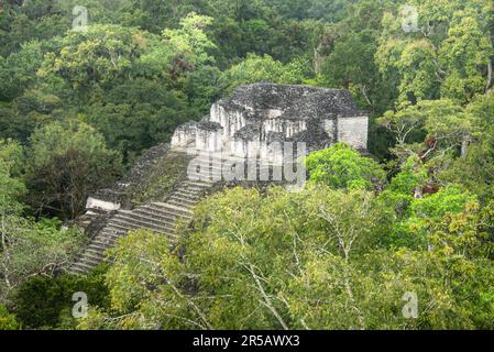 Ruinen der Akropolis über dem Großen Platz im Tikal Nationalpark, Petén, Guatemala Stockfoto