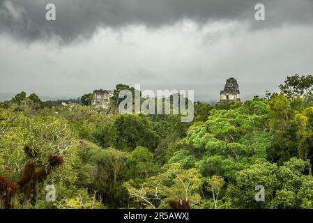 Tempel IV erhebt sich über dem Dschungel im Tikal Nationalpark, Petén, Guatemala Stockfoto