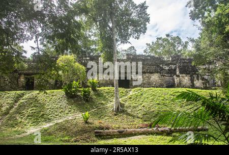 Ruinen von Tikal, Nationalpark Tikal, Petén, Guatemala Stockfoto