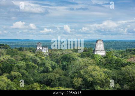 Tempel IV erhebt sich über dem Dschungel im Tikal Nationalpark, Petén, Guatemala Stockfoto