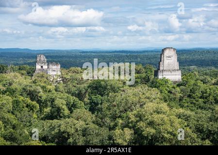 Tempel IV erhebt sich über dem Dschungel im Tikal Nationalpark, Petén, Guatemala Stockfoto