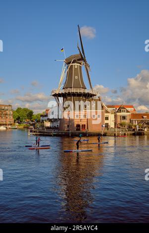 HAARLEM, NIEDERLANDE - 24. MAI 2022: SUP-Paddleboarder, die an klaren Tagen an der Windmühle auf dem Fluss De Spaarne vorbeifahren. Stockfoto