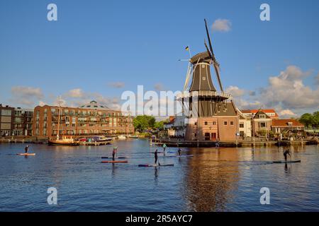 HAARLEM, NIEDERLANDE - 24. MAI 2022: SUP-Paddleboarder, die an klaren Tagen an der Windmühle auf dem Fluss De Spaarne vorbeifahren. Stockfoto