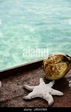 Nahaufnahme der Kokosnuss und des karibischen Meeres im Hintergrund. Bocas Del Toro. Panama. Panama Stockfoto