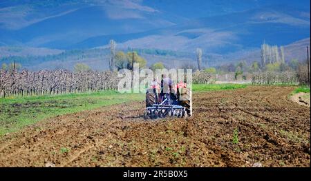 Landwirtschaftstraktor, der den Boden vorbereitet und das Feld vor dem Anpflanzen einordnet, Stockfoto