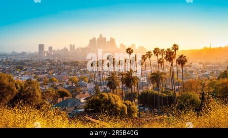 Die Skyline von Los angeles bei Sonnenuntergang, C. Stockfoto