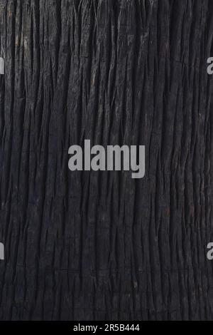 Dunkles Nahbild der Baumrindenstruktur Stockfoto