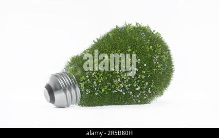 Glühbirne. Gras, Blumen, umweltfreundlich, umweltfreundliches Energiekonzept. 3D rendern. Isoliert auf weißem Hintergrund Stockfoto