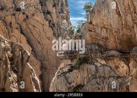 Caminito del Rey, Spanien - 9. Mai 2023: Gruppe von Touristen mit Reiseleiter, die auf dem Fußweg entlang der Uferpromenade an der Schluchtwand des Caminito del spazieren Stockfoto