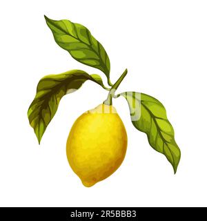Vektorzweig mit Zitrone und Blättern. Realistische detaillierte, qualitativ hochwertige botanische Darstellung. Clip Art für Verpackung, Kosmetik, Verpackung, Etikett Stock Vektor