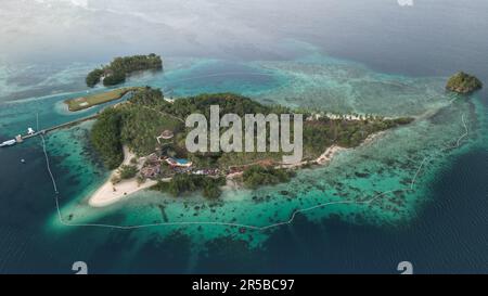 Ein atemberaubender Blick aus der Vogelperspektive auf ein kleines tropisches Paradies mit einer lebhaften grünen Insel, umgeben von strahlend blauem Wasser und einem flachen Riff Stockfoto