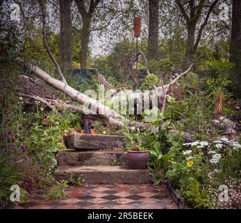 Der Centrepoint Garden, entworfen von Cleve West auf der Chelsea Flower Show, 2023 in London, Großbritannien. Stockfoto