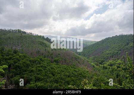 Ein malerischer Blick auf die Bode-Schlucht in Deutschland. Stockfoto