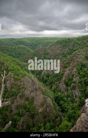 Ein malerischer Blick auf die Bode-Schlucht in Deutschland. Stockfoto