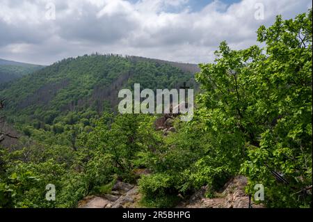 Ein malerischer Blick auf die Bode-Schlucht in Deutschland. Stockfoto