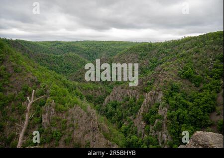 Ein malerischer Blick auf die Bode-Schlucht in Deutschland. Stockfoto