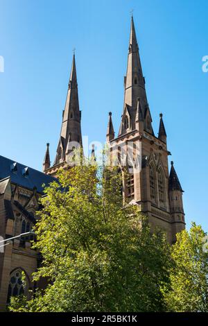 St Mary's Cathedral, Hyde Park, New South Wales, Sydney, Australien Stockfoto