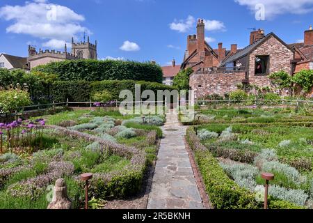 Knot Garden, New Place Stratford upon Avon und Nash's House. England Großbritannien Stockfoto