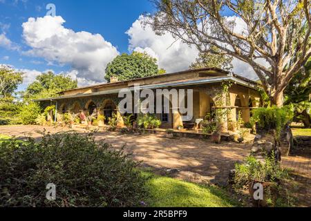 Das Huntingdon House in der Nähe von Thyolo (Malawi) hat nur 5 Gästezimmer, die im Kolonialstil eingerichtet sind. Das Hotel ist das ehemalige Zuhause der Familie, der noch immer die Satemwa Tee- und Kaffeeplantage gehört Stockfoto