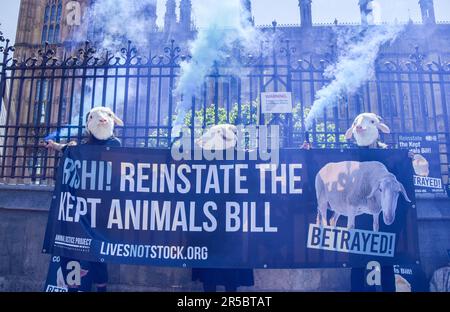 London, Großbritannien. 02. Juni 2023. Demonstranten, die Schafsmasken tragen, halten Rauchfackeln und ein Banner, das Rishi Sunak auffordert, während der Demonstration außerhalb des Parlaments das Gesetz über gehaltene Tiere wieder einzusetzen. In Westminster versammelten sich Tierschützer und forderten die Regierung auf, das Gesetz über gehaltene Tiere, das zahlreiche Schutzmaßnahmen für Tiere bietet, wieder einzuführen und die Ausfuhr lebender Tiere zu verbieten. Kredit: SOPA Images Limited/Alamy Live News Stockfoto