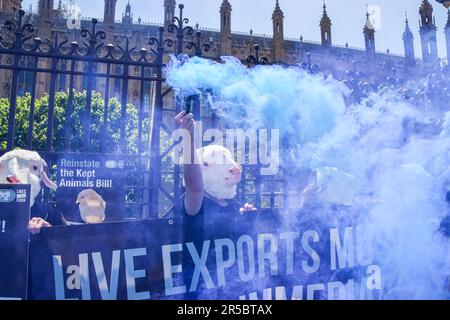 London, Großbritannien. 02. Juni 2023. Demonstranten, die Schafsmasken tragen, halten während der Demonstration außerhalb des Parlaments Rauchfackeln. In Westminster versammelten sich Tierschützer und forderten die Regierung auf, das Gesetz über gehaltene Tiere, das zahlreiche Schutzmaßnahmen für Tiere bietet, wieder einzuführen und die Ausfuhr lebender Tiere zu verbieten. Kredit: SOPA Images Limited/Alamy Live News Stockfoto