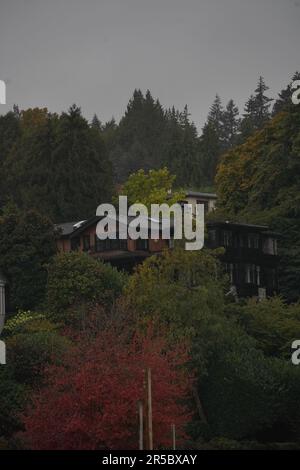 Eine malerische Landschaft mit mehreren Häusern, eingebettet zwischen Bäumen und in der Nähe eines ruhigen Sees mit einem Uhrenturm im Hintergrund Stockfoto