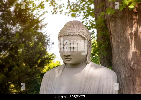 Nahaufnahme des buddha-Gesichts unter dem Baum im grünen Garten, meditierende Statue im Freien. Spiritualitätskonzept. Stockfoto