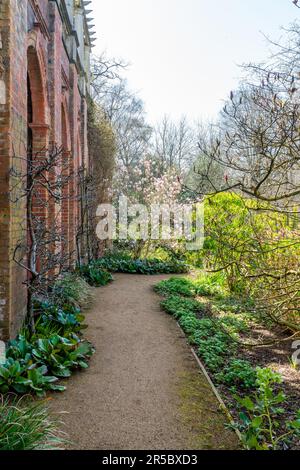 Blühender Magnolienbaum in einem Frühlingspark Stockfoto