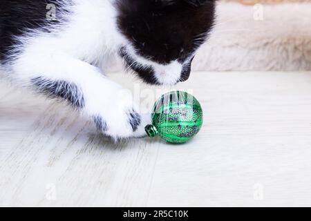 Ein schwarzes Kätzchen, das mit einem grünen Ball spielt Stockfoto