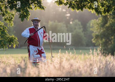 Prag, Tschechische Republik. 02. Juni 2023. Ein Mann benutzt eine Sense, um die Wiese bei Sonnenaufgang zu Fällen. Rund 50 Einheimische kommen zusammen, um Blumenwiesen im Stromovka Park zu mähen, dem größten Park in Prag, der sich in der Nähe des historischen Stadtzentrums befindet. (Foto: Tomas Tkacik/SOPA Images/Sipa USA) Guthaben: SIPA USA/Alamy Live News Stockfoto