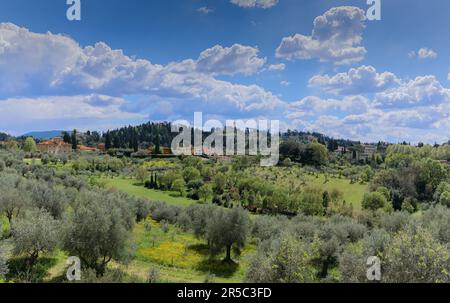 Typische toskanische Hügellandschaft mit Zypressen und Olivenbäumen in Florenz, Italien. Stockfoto