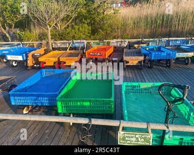 Ocean Bay Park, New York, USA - 29. Mai 2023: Viele farbenfrohe Zugwaggons, die vom Ocean Bay Park Fire Island Ferry Terminal eingesperrt sind. Stockfoto