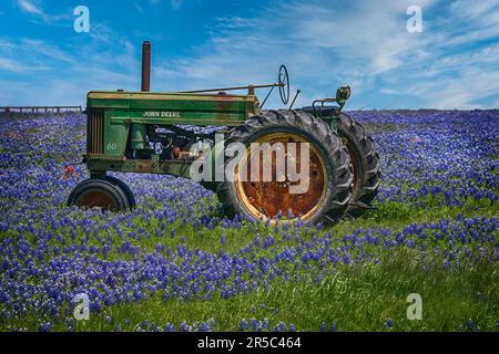 Alter Traktor auf einem Feld mit blauen Hauben Stockfoto
