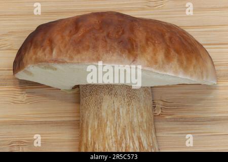 Die Spitze eines essbaren Pilzes cep (Boletus edulis) liegt auf einem Schneidbrett. Ein weißliches, netzähnliches Muster (Retikulum) auf einem bräunlichen Stiel in der Nähe der Kappe Stockfoto