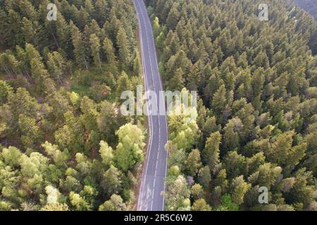 Ein Luftblick auf eine Asphaltstraße, die durch einen dichten Wald von Bäumen führt. Stockfoto