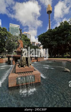 650 der Archibald Memorial Fountain im Hyde Park mit dem Tower Eye im Hintergrund. Sydney-Australien. Stockfoto