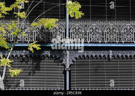 679 viktorianische filigrane Veranden mit gusseisernen Bildschirmen auf der Barcom Avenue, Vorort Darlinghurst. Sydney-Australien. Stockfoto