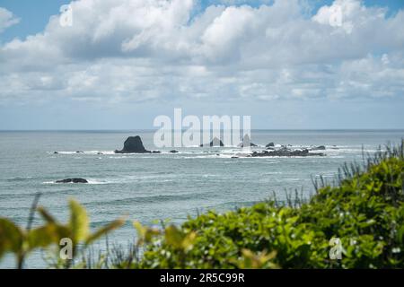 Eine wunderschöne Aufnahme von Felsformationen im Wasser, sichtbar vom Cape Foulwind in Neuseeland Stockfoto