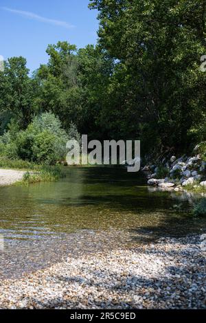 Landschaft mit klarem kleinen Bach und Bäumen im Parco del Ticino, Italien. Vertikaler Schuss. Stockfoto