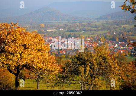 Landschaft : Schwäbische Alb in der Nähe von Bissingen a. T. Fog Stockfoto