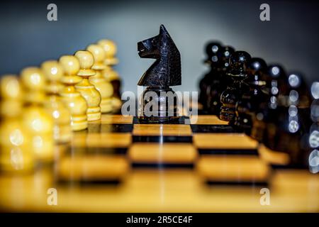 Nahaufnahme von einem schwarzen Ritter und Bauern auf einem Schachbrett Stockfoto